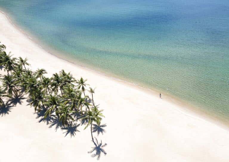 Beach-aerial-with-guest-scaled