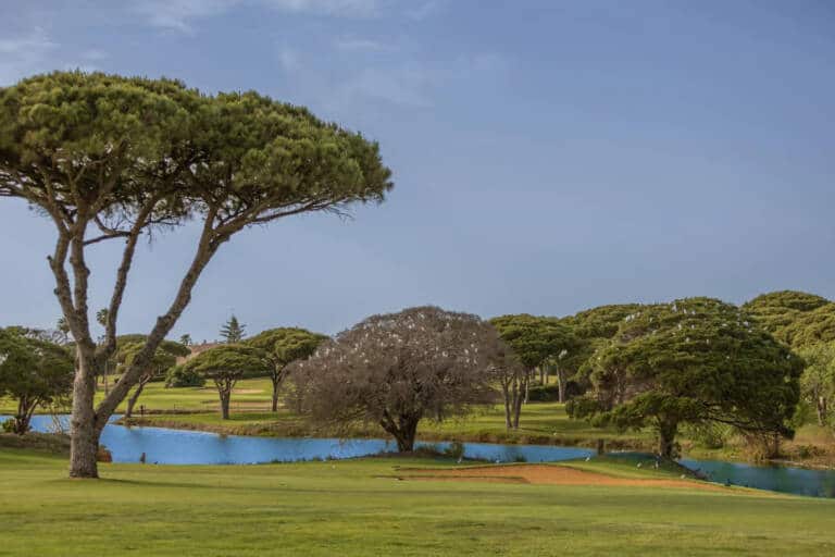 Real-Novo-Sancti-Petri-Golf-Course-in-Andalusian-.-Campo-de-Golf-en-Cadiz