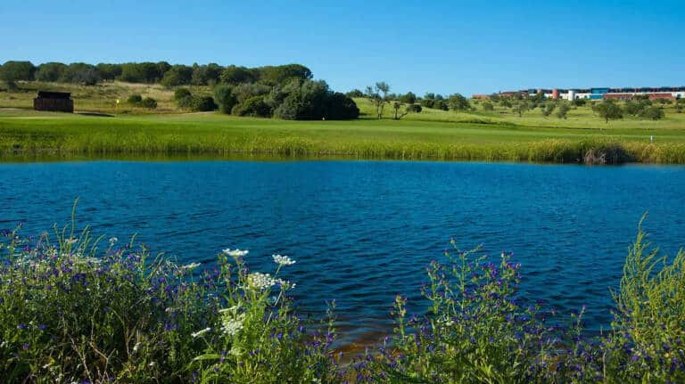 nau-hotels-and-resorts-a-lake-surrounded-by-a-lush-green-field