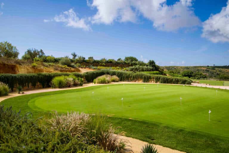 haslam.ronald@gmail